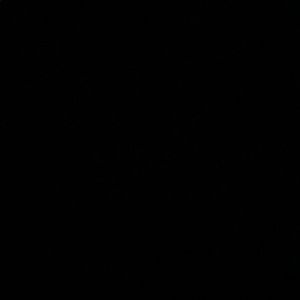 Meet your Posher, Shania